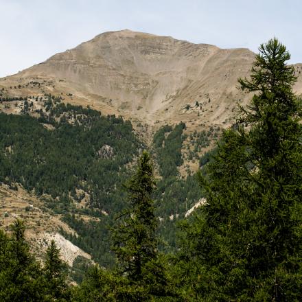 Paysage 