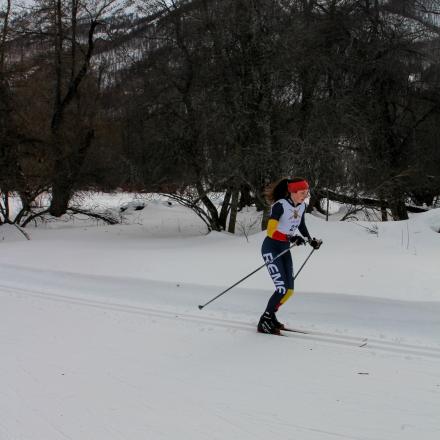 Stade biathlon